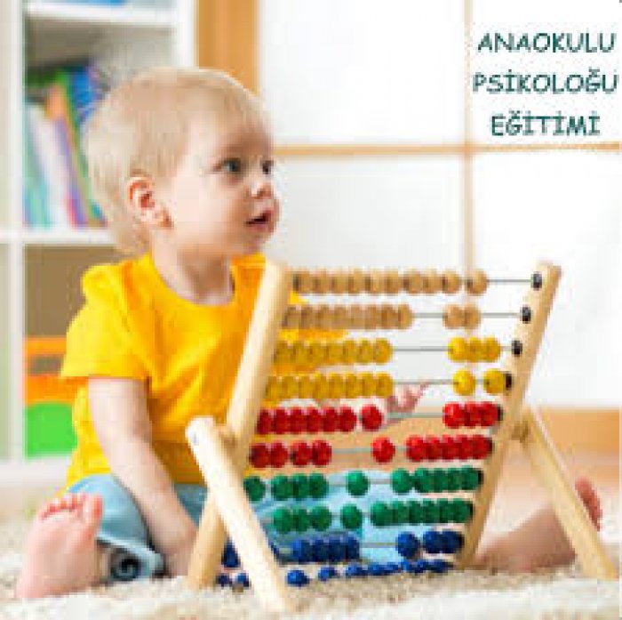 Bozdoğan Anaokulu Psikoloğu